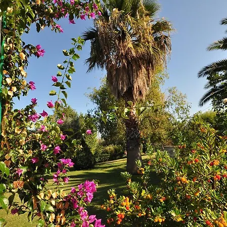 Bed & Breakfast Armonia